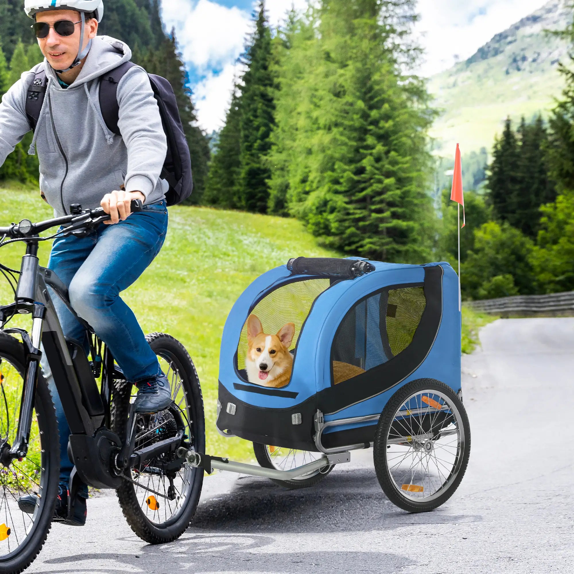 Rimorchio Bici per Cani