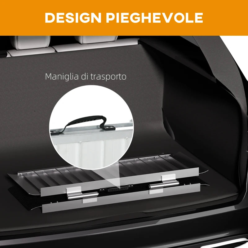 Rampa per Sedia a Rotelle